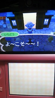 낽c
